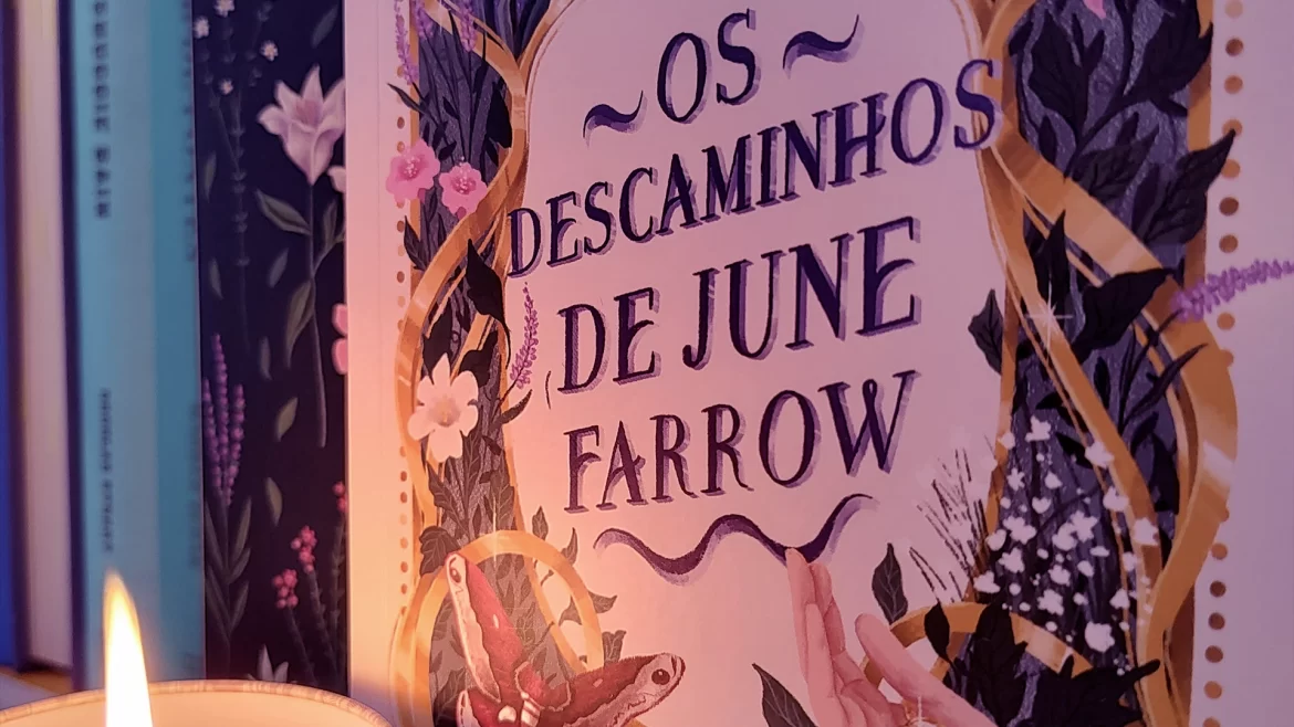 capa_descaminhos